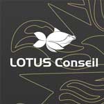 Lotus Conseil